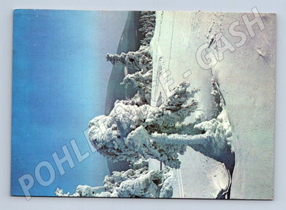 Pohlednice zimní krajina zasněžené stromy 1982 (M25234)