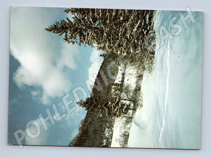 Pohlednice Novoroční zimní krajina 1987 (M25238)