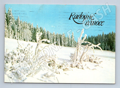 Pohlednice Vánoce zimní krajina (M25242)