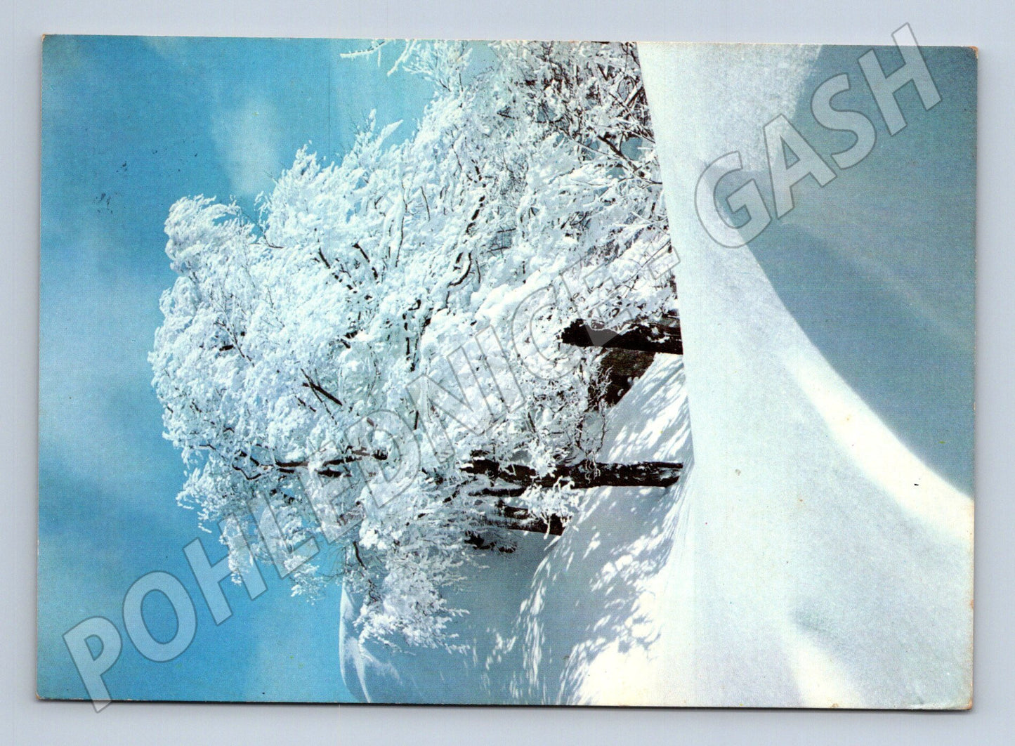 Pohlednice Československo zimní krajina stromy 1984 (M25244)