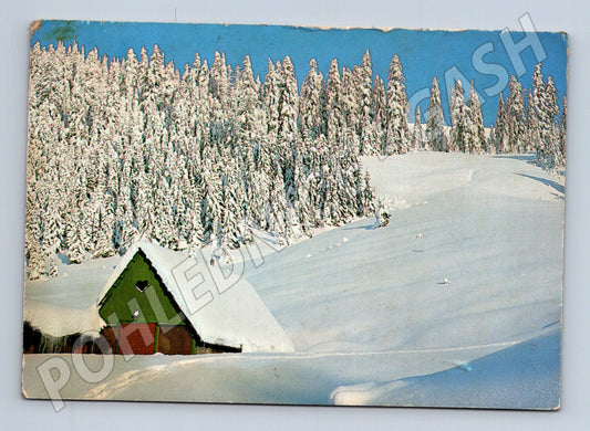 Pohlednice Vánoční krajina chalupa sníh (M25246)
