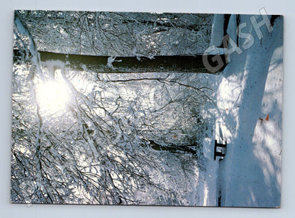 Pohlednice Československo zimní krajina sníh 1987 (M25249)
