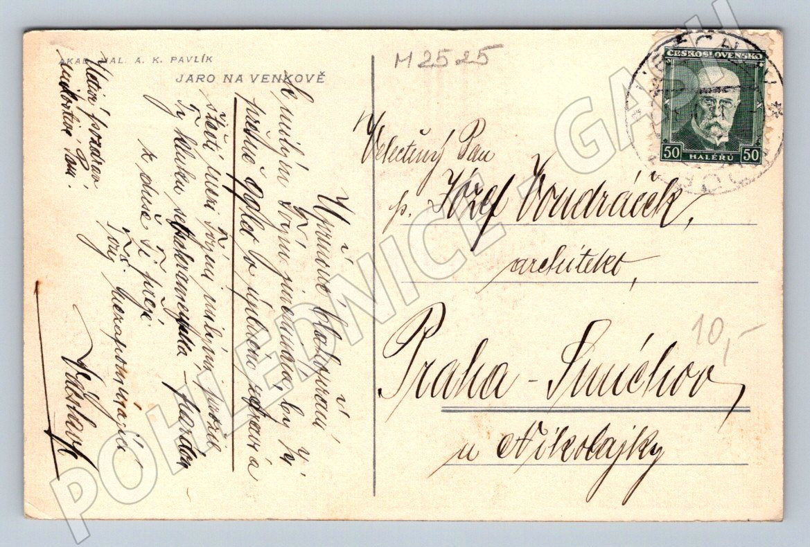 Postcard AK Pavlík Spring in the Countryside (M2525)