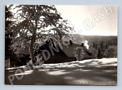 Pohlednice Slovensko zimní krajina s chalupou 1966 (M25254)