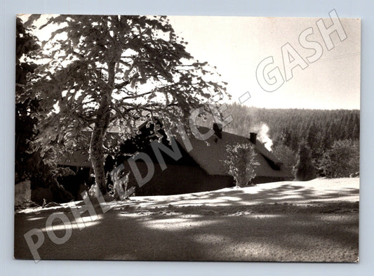 Pohlednice Slovensko zimní krajina s chalupou 1966 (M25254)