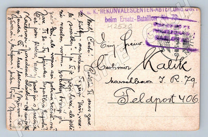 Postcard gooseberry and rose painting (M2526)