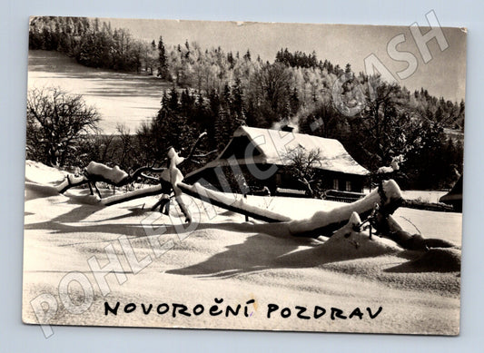 Pohlednice zimní krajina chalupa Novoroční pozdrav (M25285)