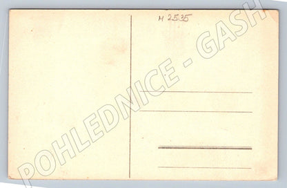 Postcard girl with dog To my dear mom (M2535)