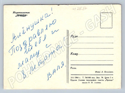 Postcard rose dedication in Russian (M2537)