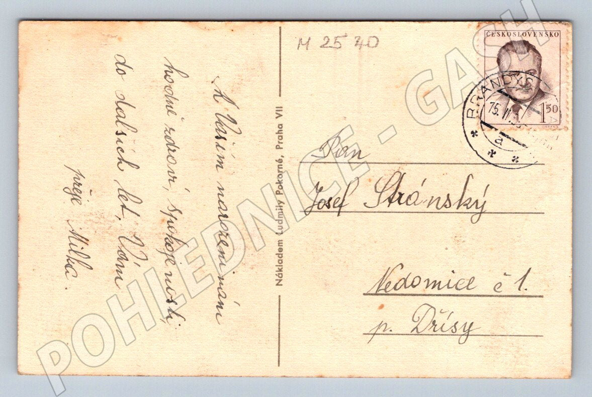 Postcard little girl with flowers greeting card (M2540)