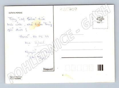 Pohlednice Perská koťata 1988 (M25409)