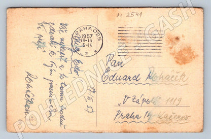 Postcard flowers in a vase genre (M2541)