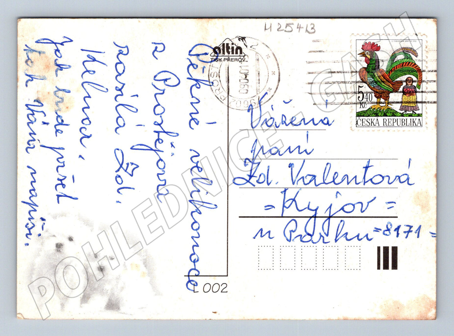 Pohlednice dva bílí psi štěňata 2007 (M25413)