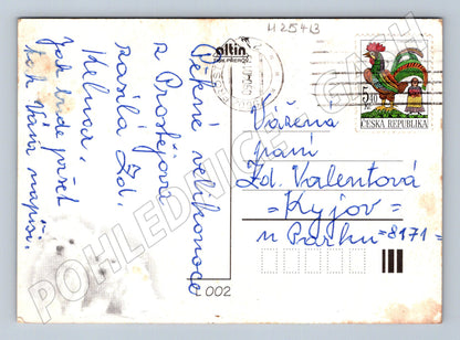 Pohlednice dva bílí psi štěňata 2007 (M25413)