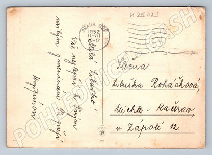 Postcard daffodils Heartfelt congratulations (M2542)