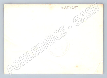 Pohlednice Samantha Fox (M25425)