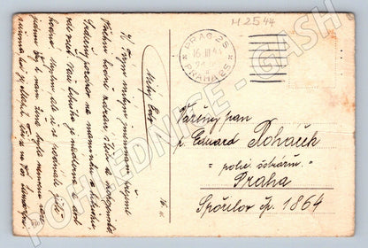 Postcard bouquet of daisies Prague (M2544)