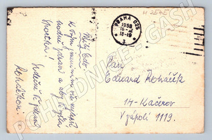 Postcard carnations flower greeting card (M2545)