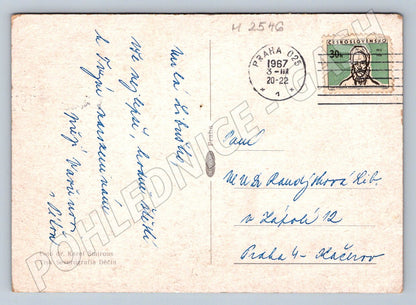 Postcard bouquet of daisies decor (M2546)