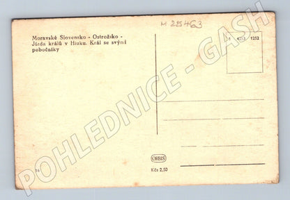 Pohlednice Hluk Jízda králů Moravské Slovensko (M25463)
