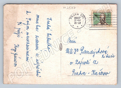 Purple iris flower postcard (M2547)