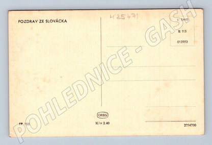 Pohlednice Slovácko krojovaný pár (M25471)