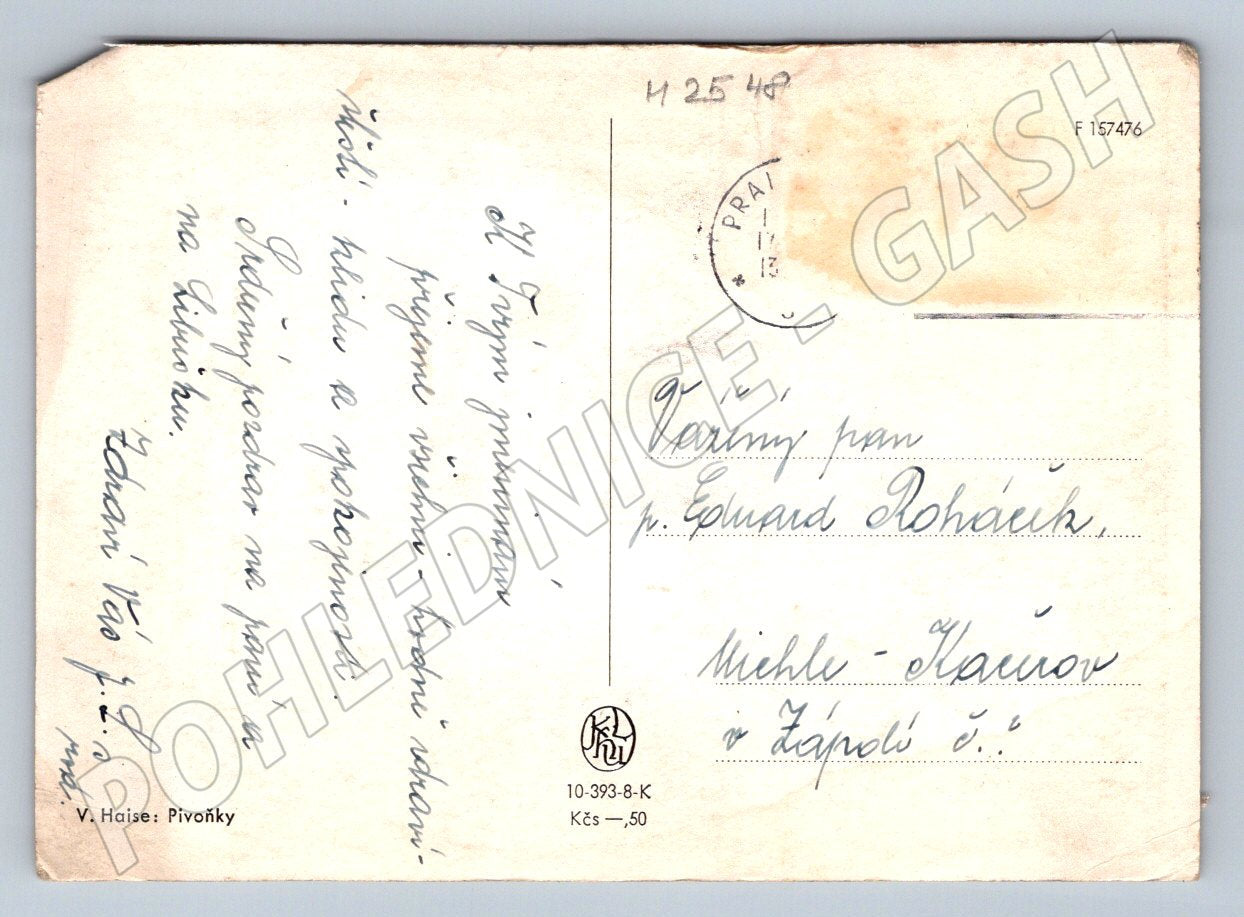 Postcard V. Hais Peonies reproduction (M2548)