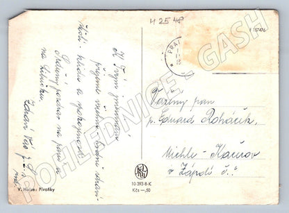 Postcard V. Hais Peonies reproduction (M2548)