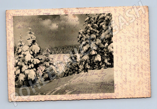 Pohlednice Československo zasněžená krajina 1961 (M25495)