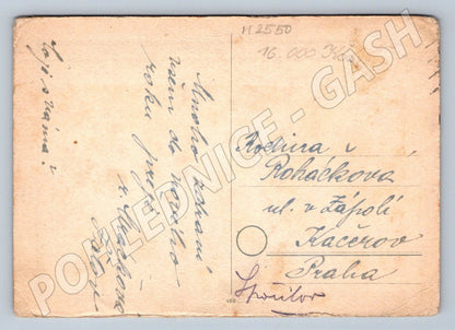 Postcard lilac written in black and white (M2550)