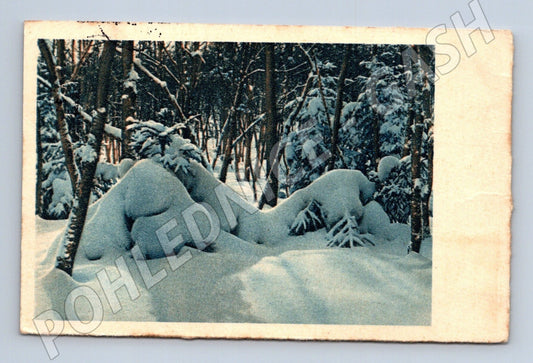 Pohlednice Zimní les sníh Vánoce 194x (M25508)