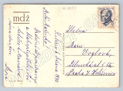 Postcard of a rose for the International Women's Day by O. Mareš (M2551)