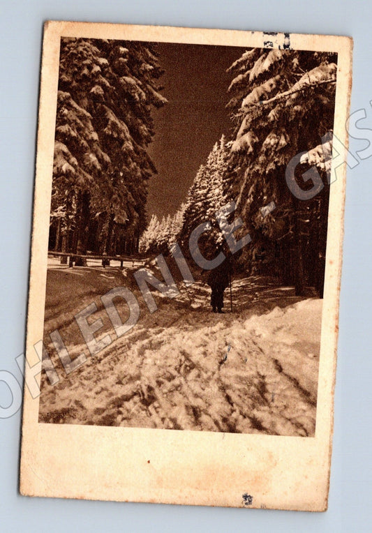 Pohlednice Zimní horská krajina 1942 (M25515)
