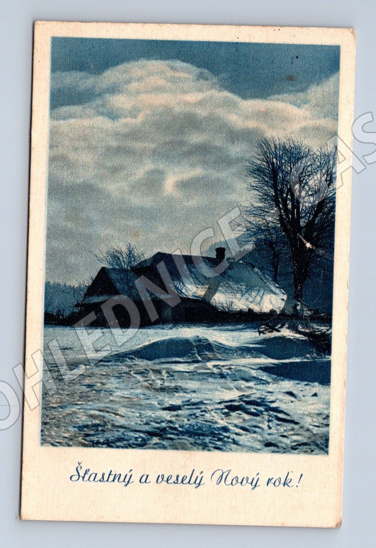Pohlednice Novoroční zimní krajina 1919 (M25518)