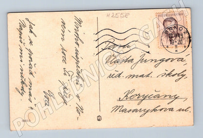 Pohlednice Novoroční zimní krajina 1919 (M25518)