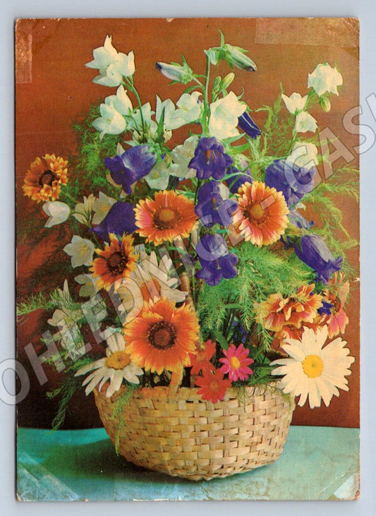 Soviet postcard bouquet of flowers (M2552)
