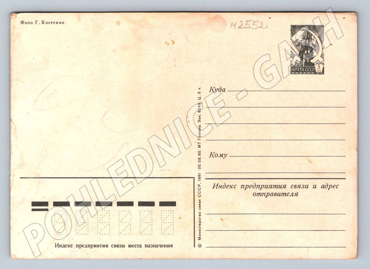 Soviet postcard bouquet of flowers (M2552)