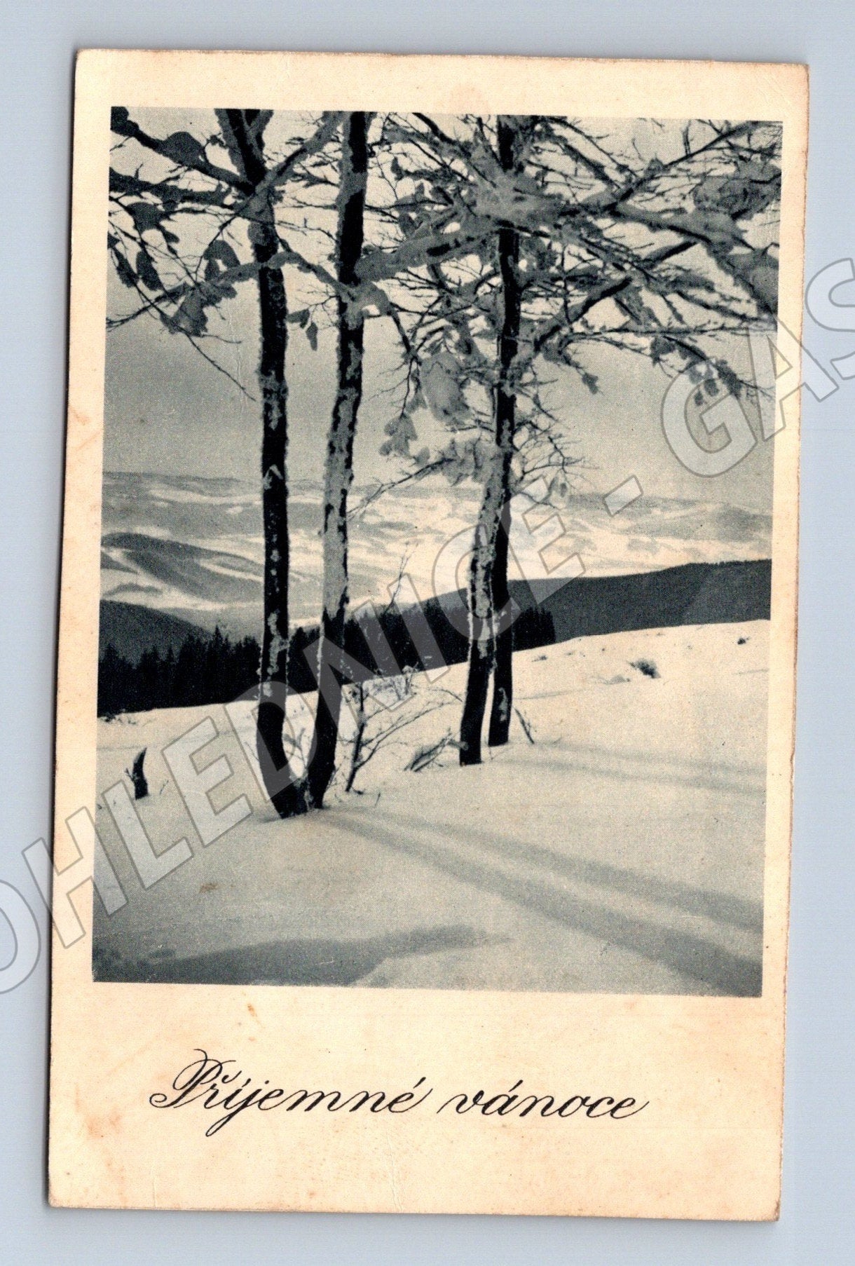 Pohlednice Vánoční zimní krajina 1952 (M25520)