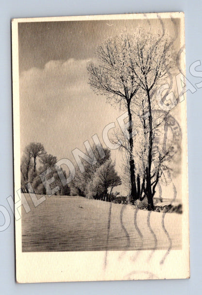 Pohlednice Ivančice zimní krajina Vánoce 1952 (M25522)
