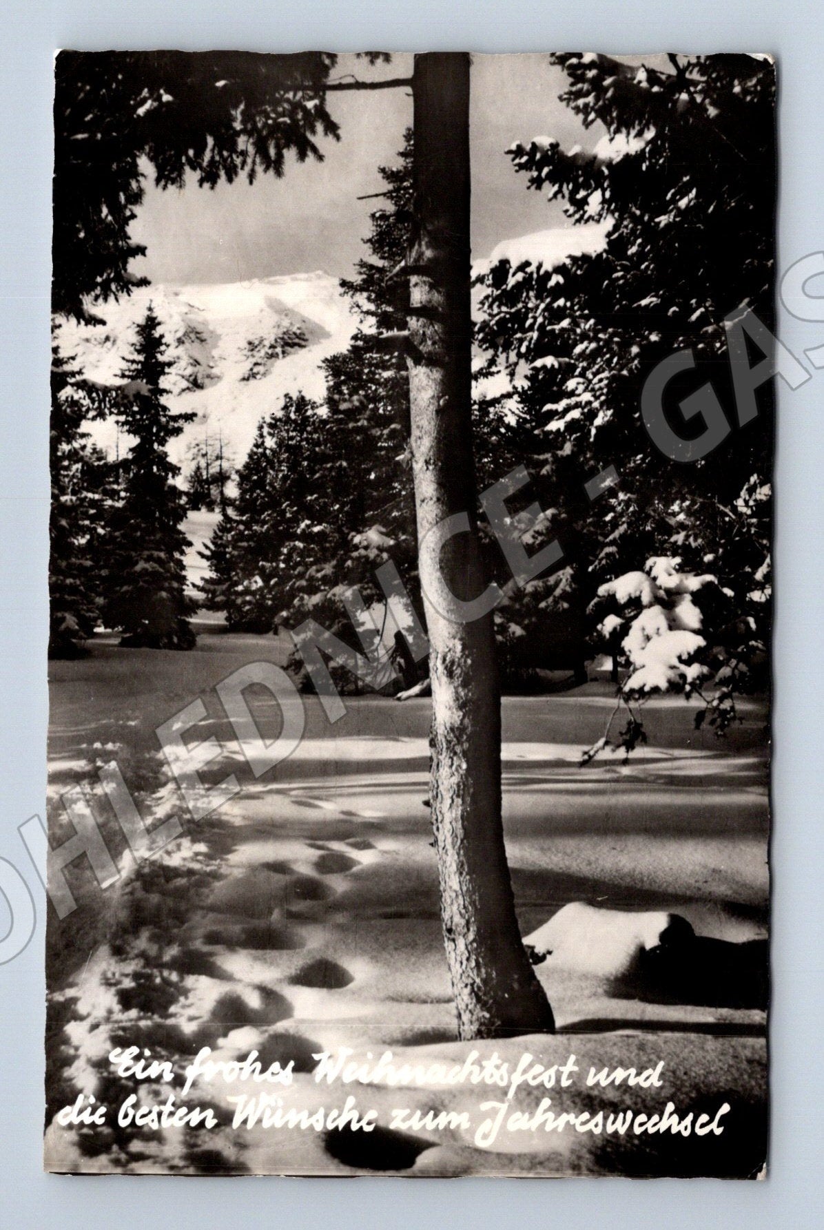 Pohlednice Rakousko zimní krajina Vánoční přání 1959 (M25529)