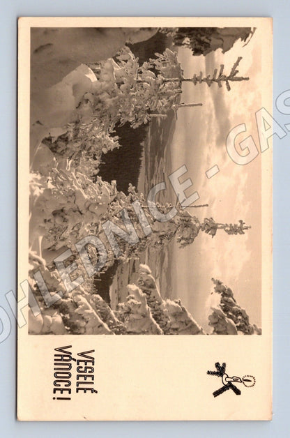 Pohlednice zasněžené hory a Vánoce 1945 (M25530)