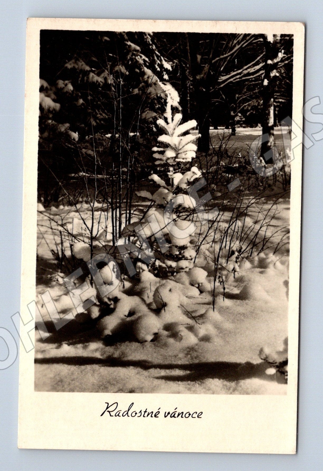 Pohlednice Vánoční zimní krajina 1940 (M25532)