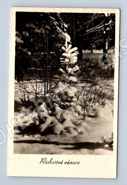 Pohlednice Vánoční zimní krajina 1940 (M25532)