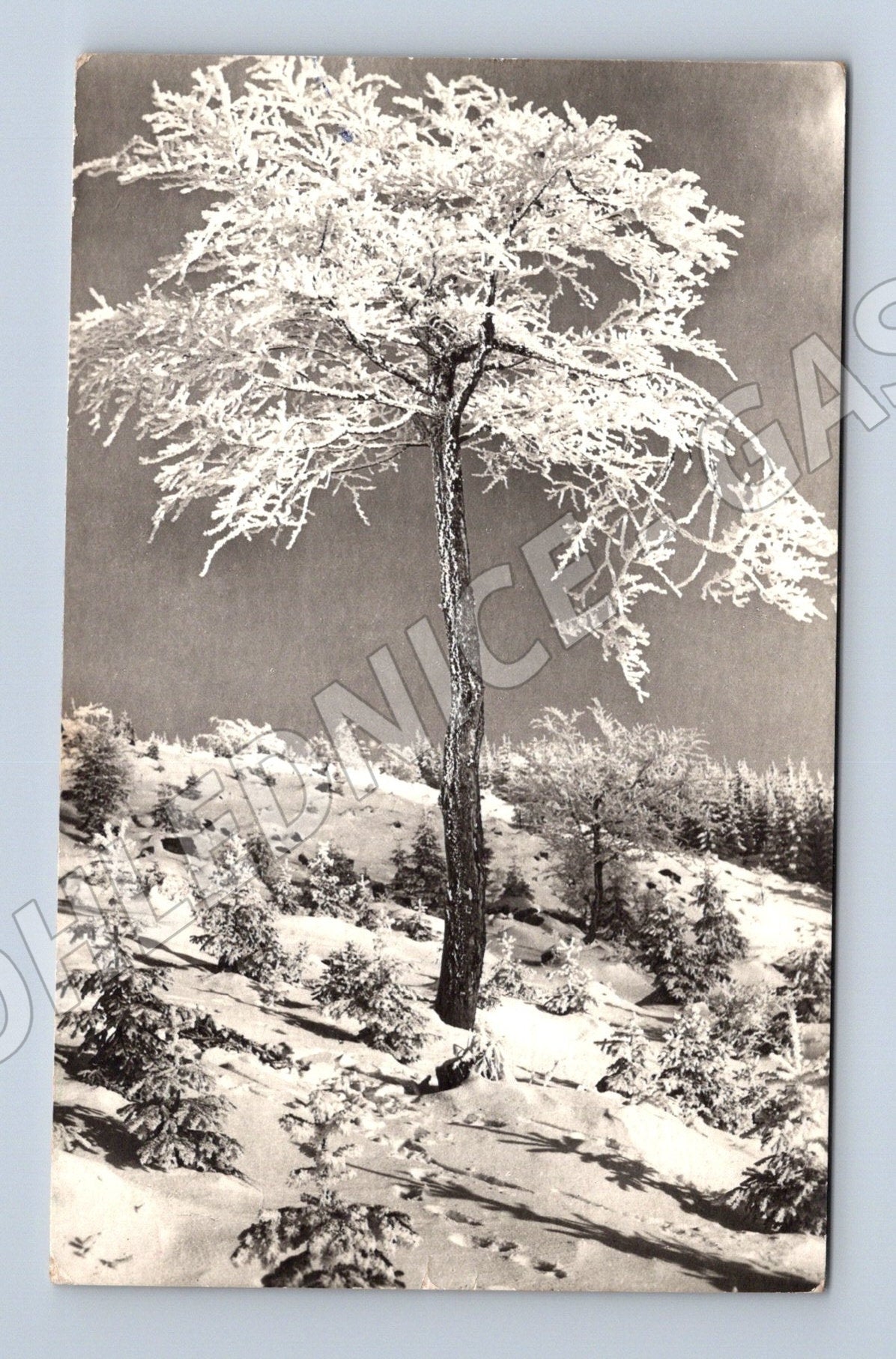Pohlednice Kroměříž zimní krajina 1964 (M25534)