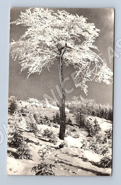 Pohlednice Kroměříž zimní krajina 1964 (M25534)
