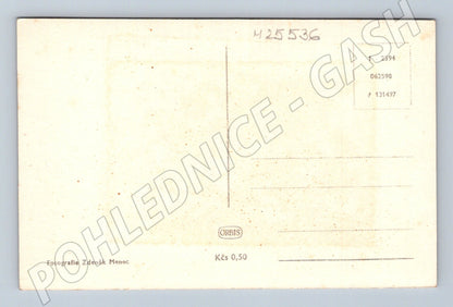 Pohlednice Veselé vánoce sníh (M25536)