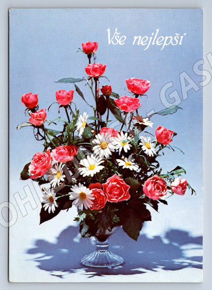 Postcard roses and daisies Velké Meziříčí (M2554)