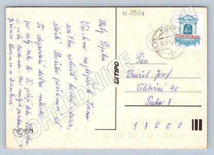 Postcard roses and daisies Velké Meziříčí (M2554)