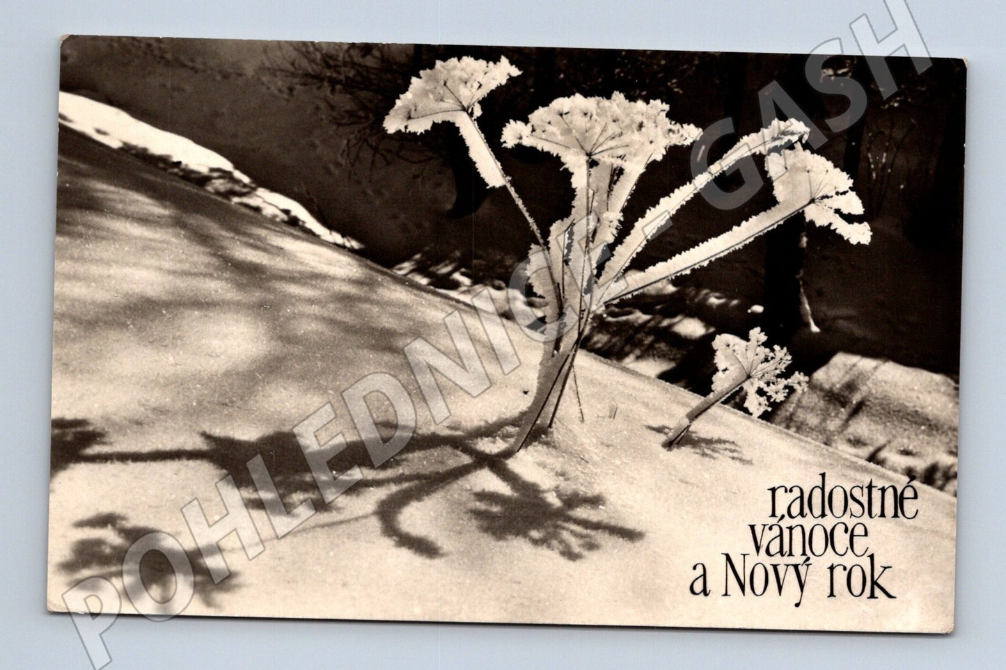 Pohlednice Vánoce a Nový rok zimní motiv 1956 (M25546)