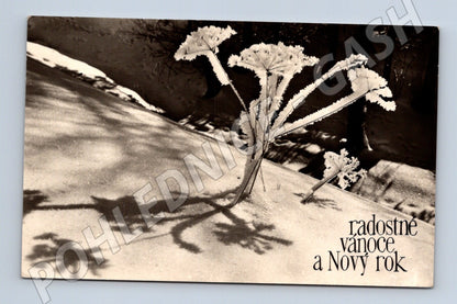 Pohlednice Vánoce a Nový rok zimní motiv 1956 (M25546)
